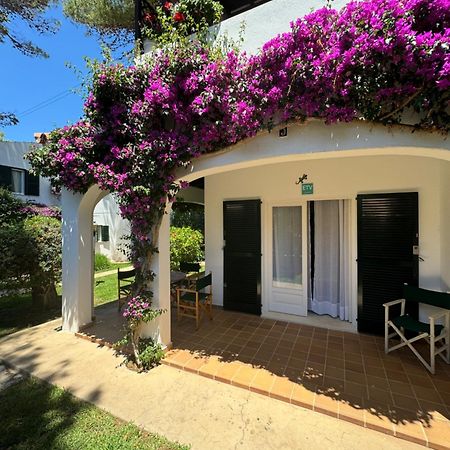 Apartment With Garden And Swimming And Beach Cala Blanca  Exteriér fotografie