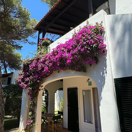 Apartment With Garden And Swimming And Beach Cala Blanca  Exteriér fotografie