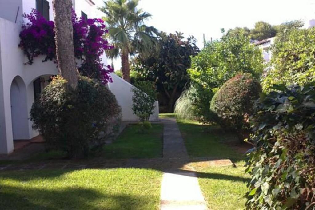 Apartment With Garden And Swimming And Beach Cala Blanca  Exteriér fotografie