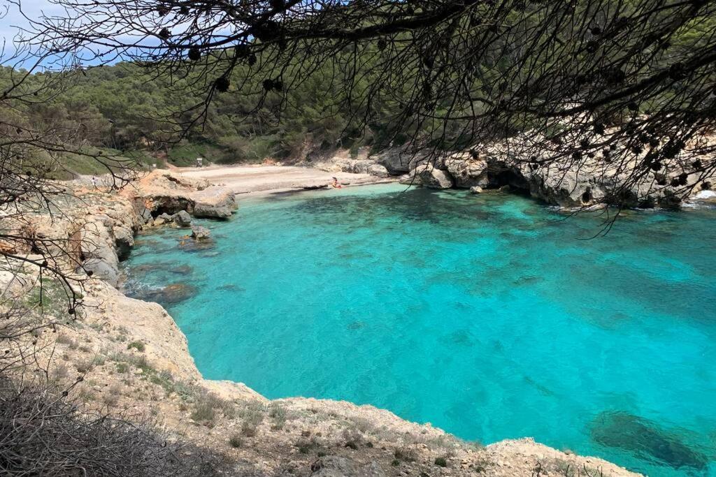 Apartment With Garden And Swimming And Beach Cala Blanca  Exteriér fotografie