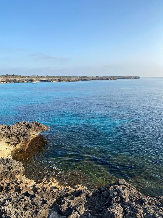 Apartment With Garden And Swimming And Beach Cala Blanca  Exteriér fotografie