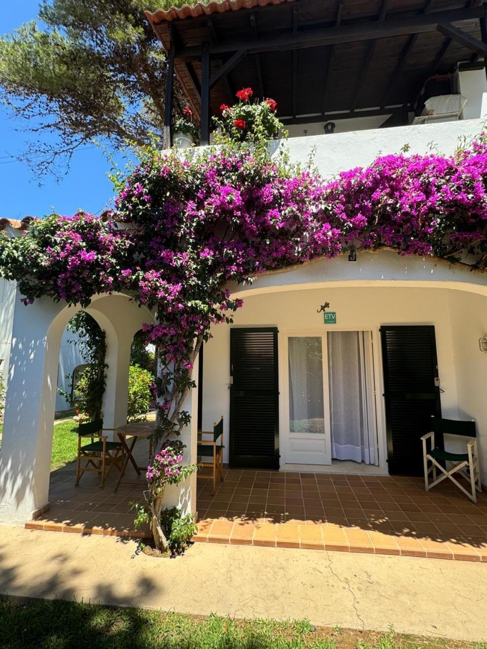 Apartment With Garden And Swimming And Beach Cala Blanca  Exteriér fotografie