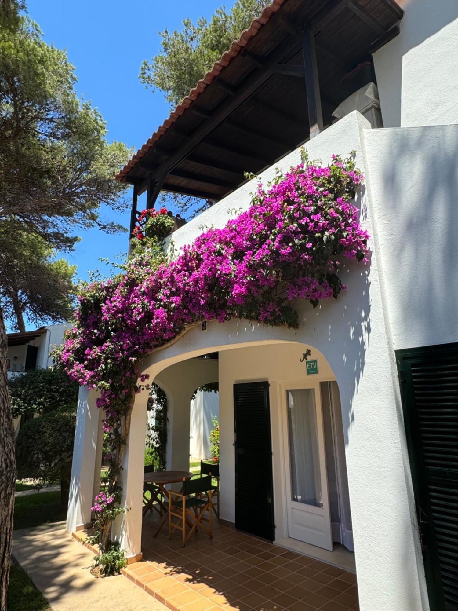 Apartment With Garden And Swimming And Beach Cala Blanca  Exteriér fotografie